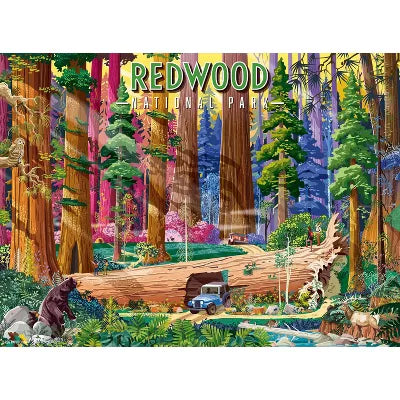 Redwood National Park 500pc Puzzle