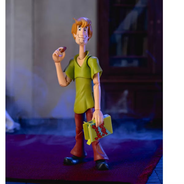 Scooby-Doo! Wave 1 Shaggy 1:12 Scale AF