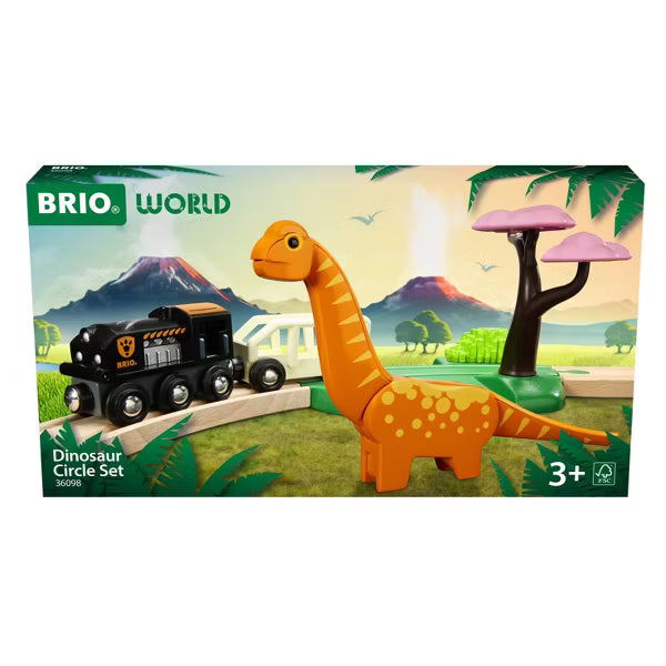 Dinosaur Circle Set