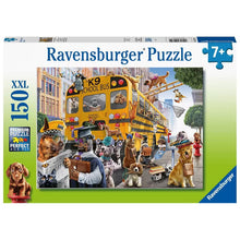 Pet School Pals 150pc