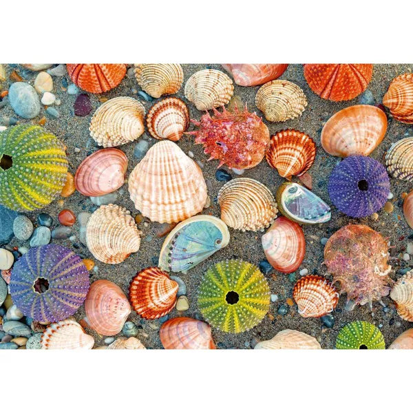 Puzzle Moments: By the Seashore  300 Pc Puzzle