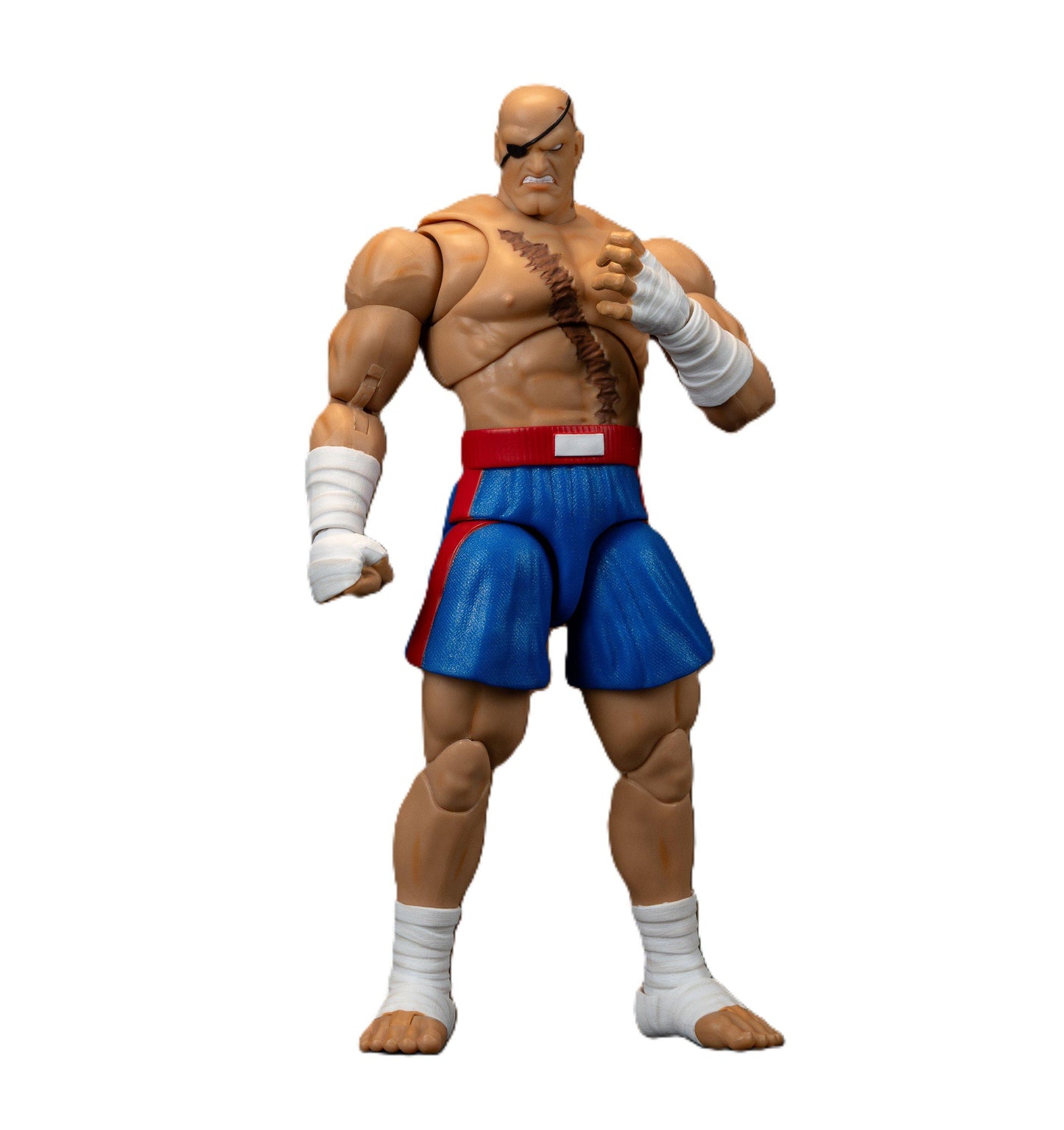 Ultra Street Fighter II Sagat 6-In Action Figure