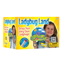 Ladybug_Land