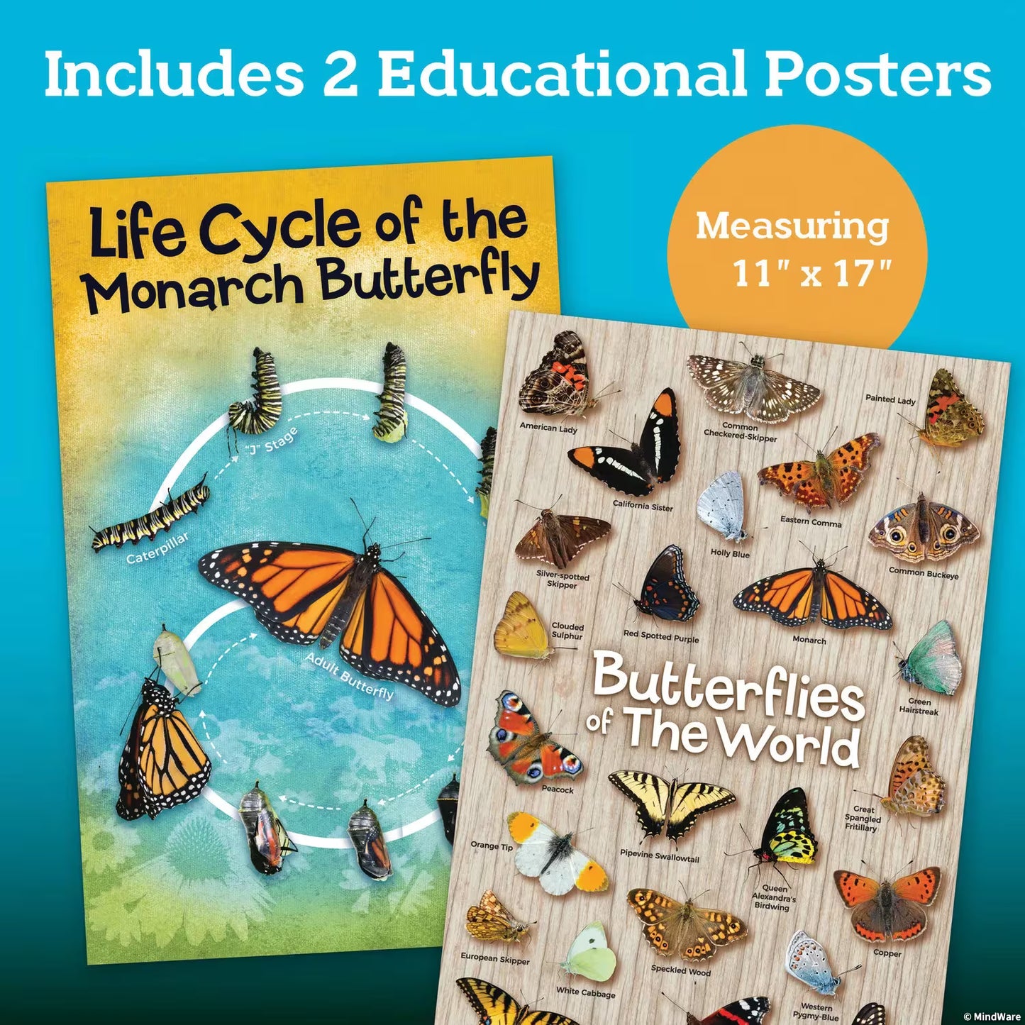 Butterfly House Kit