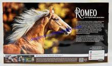 Romeo 2022 Flagship Horse