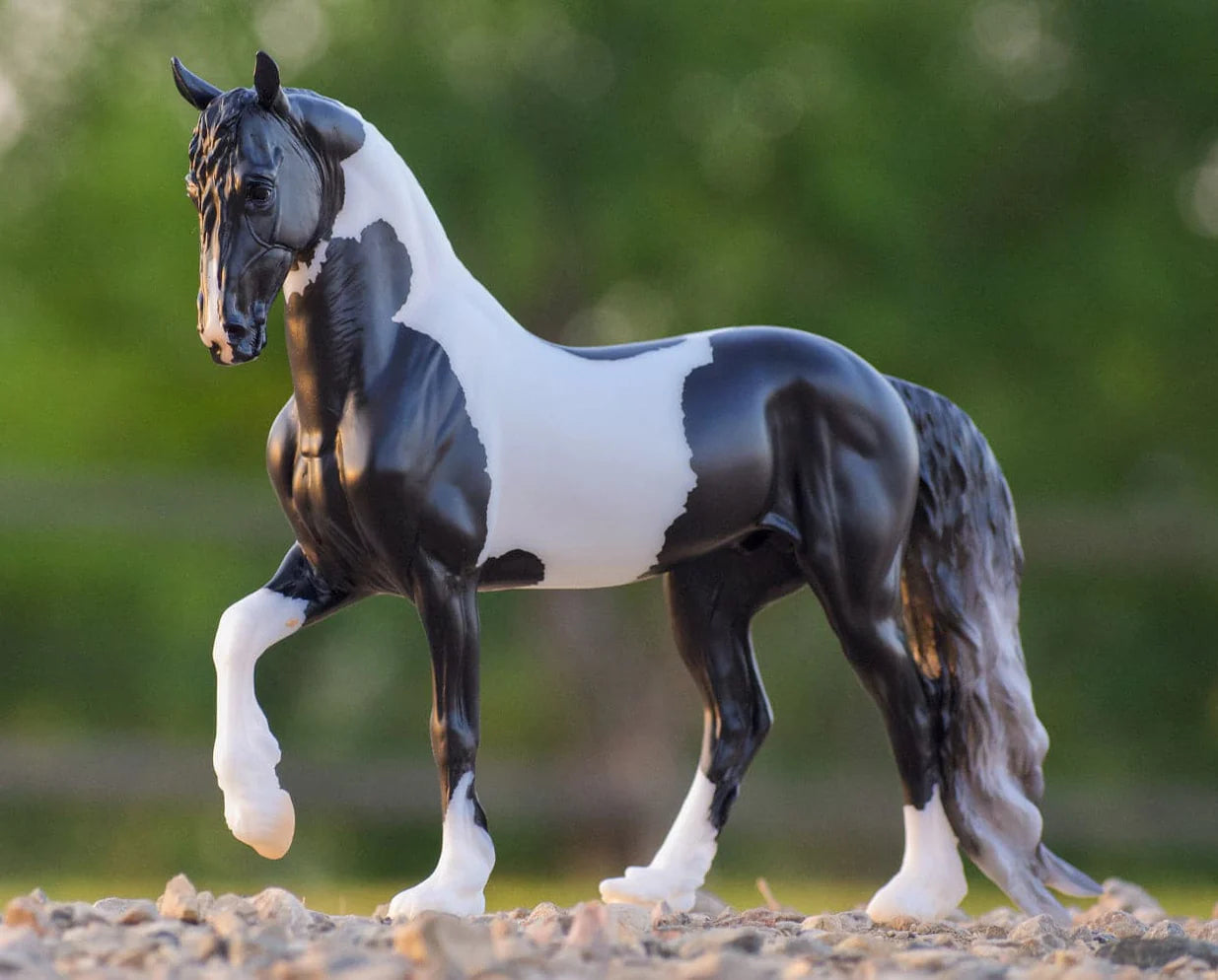 Battlefield Angle HP "Ezra - Pinto Friesian Sporthorse