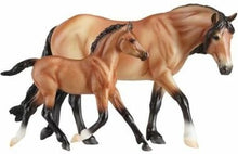 *Mealy Bay Dartmoor Pony and Light Bay Dartmoor Foal