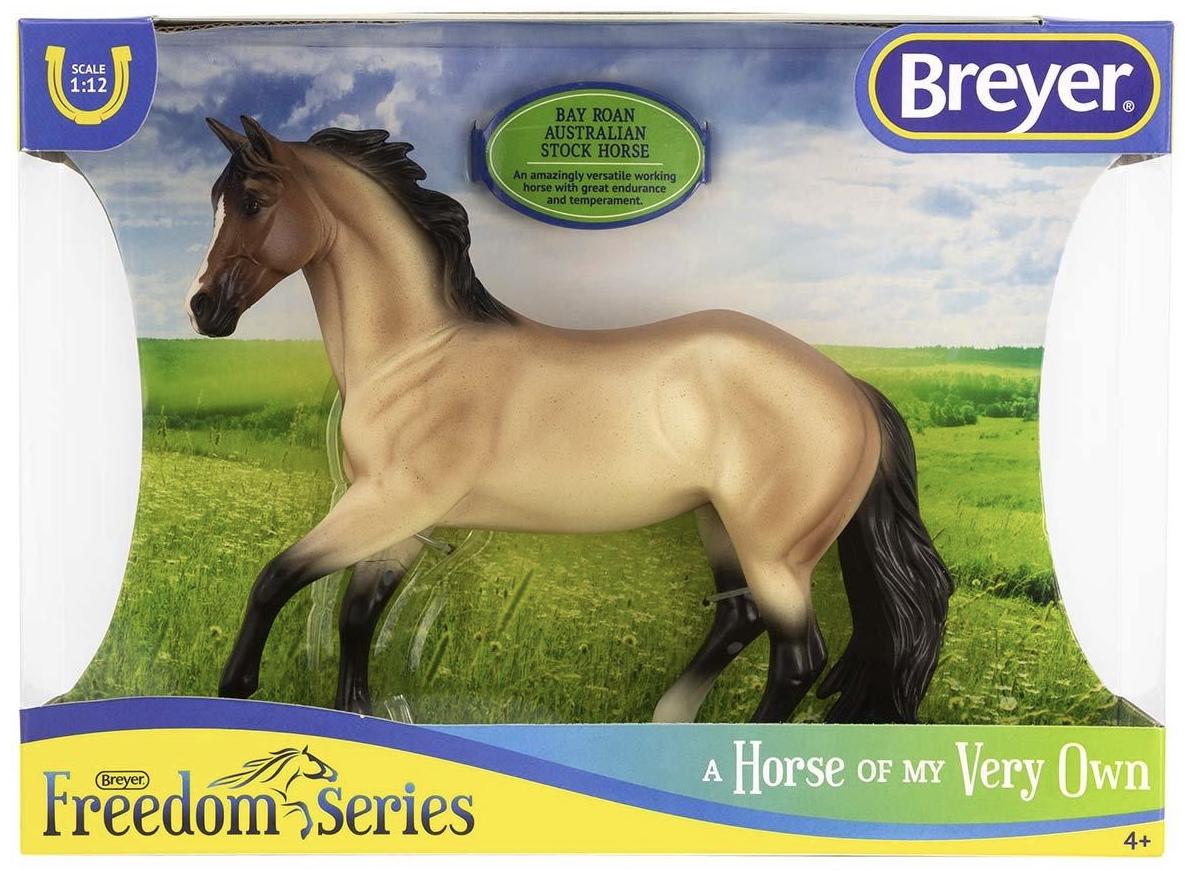 Bay Roan Australian Stock Horse