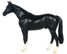 Black Thoroughbred (Discontinued)