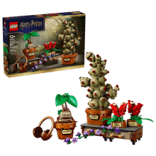 LEGO® Harry Potter™ Hogwarts™ Herbology Plants (76474)