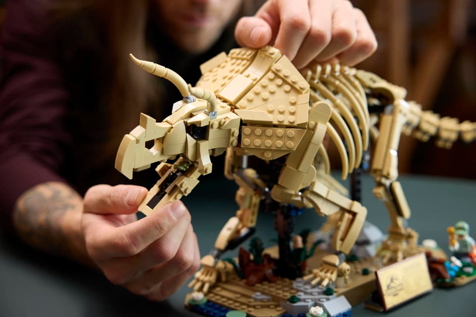 LEGO® Jurassic World Dinosaur Fossils: Triceratops (77985)