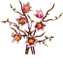 LEGO® Botanicals Magnolia Branches (11510)