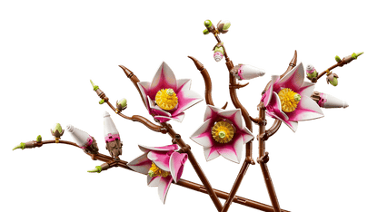 LEGO® Botanicals Magnolia Branches (11510)