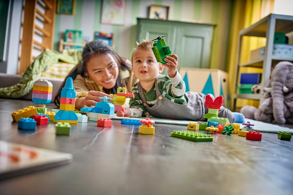 LEGO® DUPLO® Colorful Creative Box (10479)