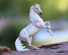 Cloud: 30th Anniversary Edition   Wild Stallion of the Rockies