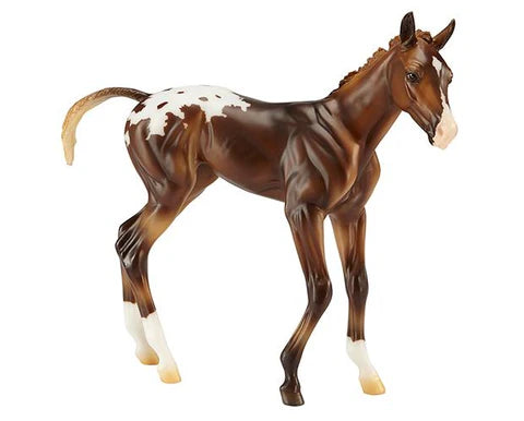 Espresso - Springtime Filly