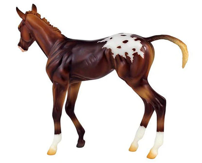 Espresso - Springtime Filly