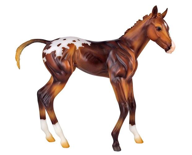 Espresso - Springtime Filly