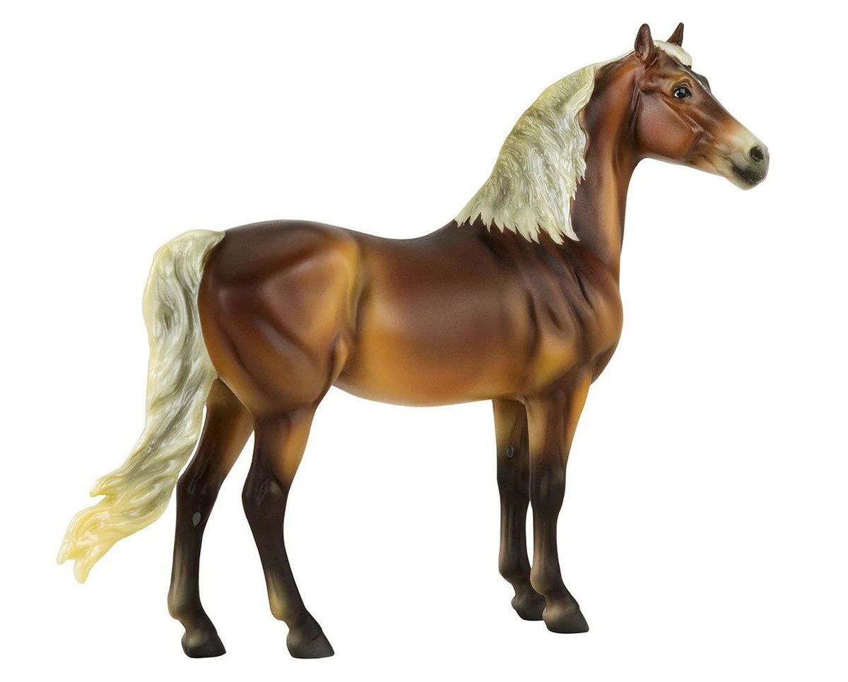 2020 Horse of the Year - Fairfax, Morgan
