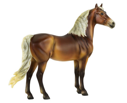 2020 Horse of the Year - Fairfax, Morgan