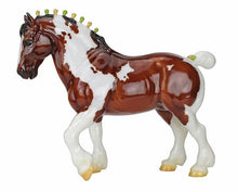 Seamus 2019 Flagship Dealer Special Edition