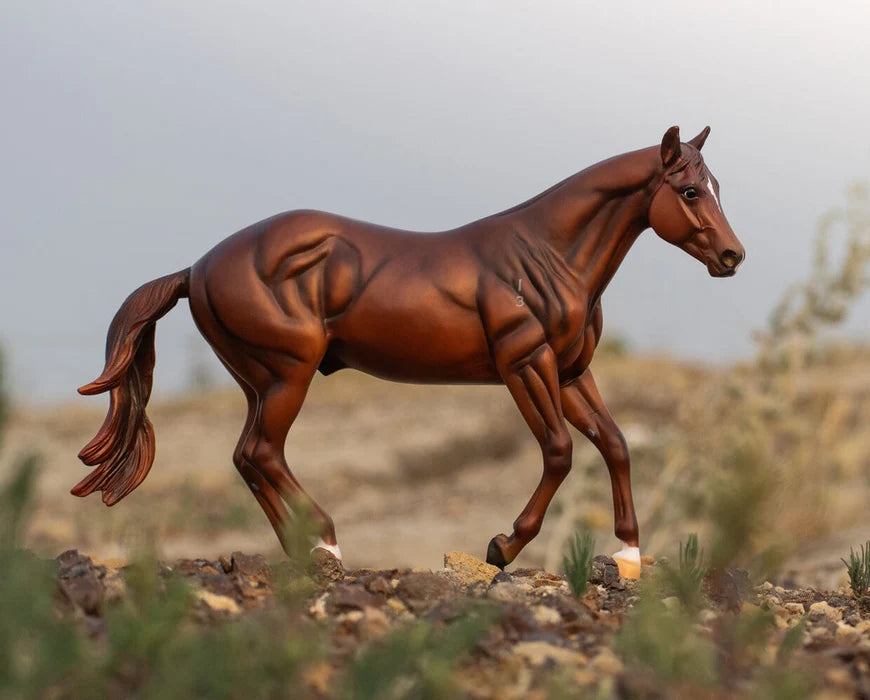 Guy McLeans Quietway Spinabbey