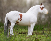 Legend  Kentucky Horse Park Mounted Police Horse