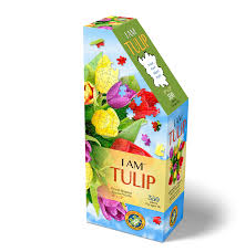I am Tulip 350pc