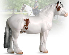 Legend  Kentucky Horse Park Mounted Police Horse