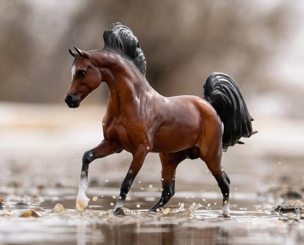 Bay Arabian