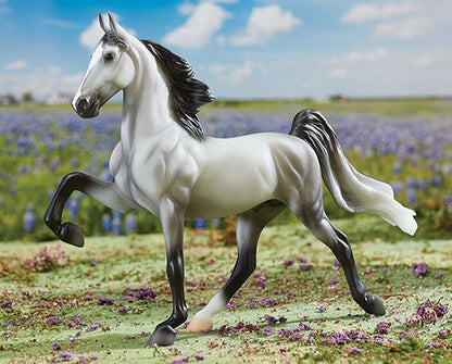 *Mason, 2018 Horse of the Year