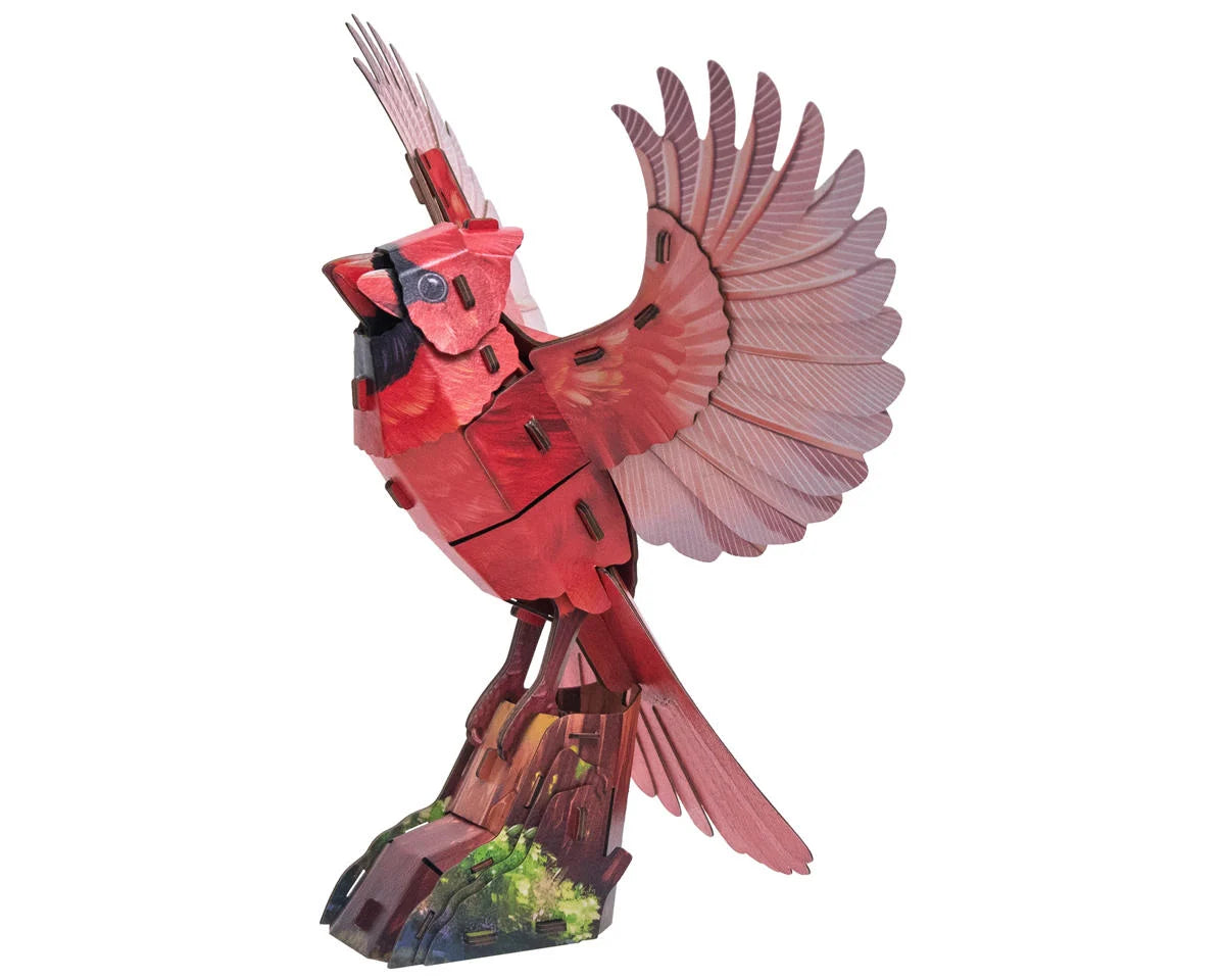 Sky Echo American Cardinal