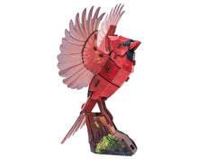 Sky Echo American Cardinal