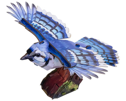 Sky Echo Blue Jay