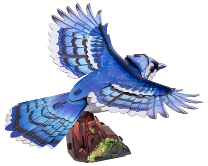 Sky Echo Blue Jay