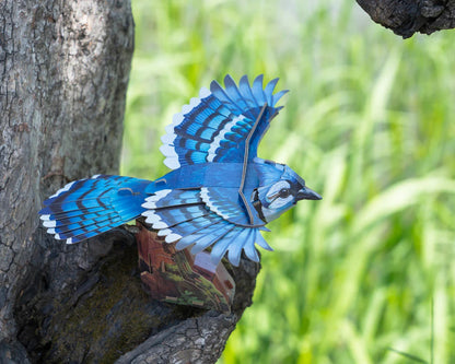 Sky Echo Blue Jay