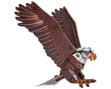 Sky Echo Bald Eagle