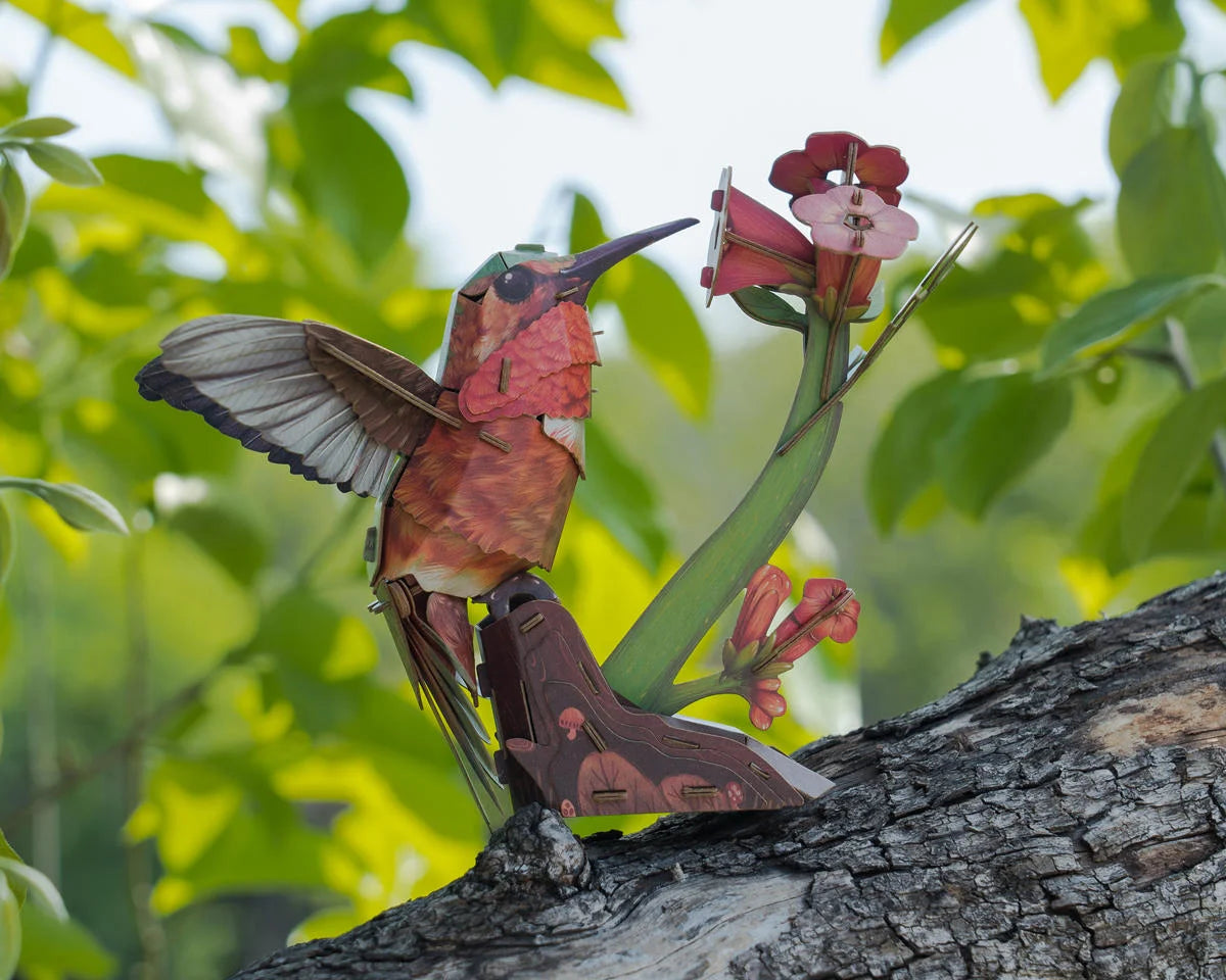Sky Echo Hummingbird