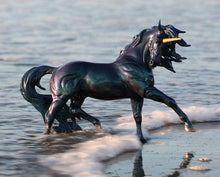 Neptune Unicorn Stallion