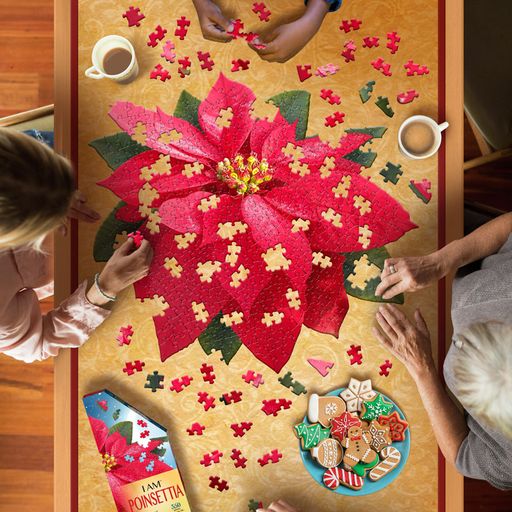I am Poinsettia 350pc