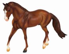 Chestnut Quarter Horse