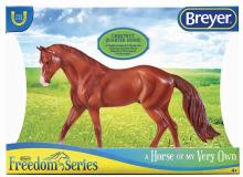 Chestnut Quarter Horse