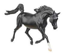Rhapsody in Black - Arabian