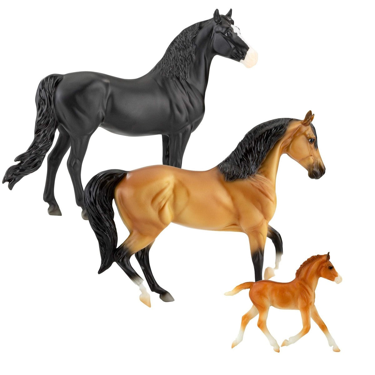 Spanish Mustang Family