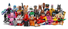 LEGO® Minifigures The LEGO Batman Movie Series 1 Blind Bag (71017) (Retired)