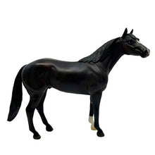 Bay Roan American Quarter Horse (Discontinued)