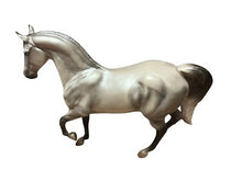 2013 Horse of the Year Mariah, Morab