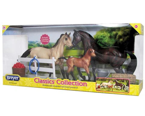 Sport Horse Family