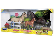 Sport Horse Family