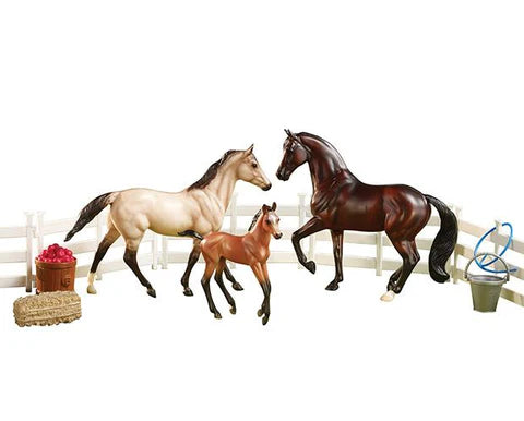 Sport Horse Family